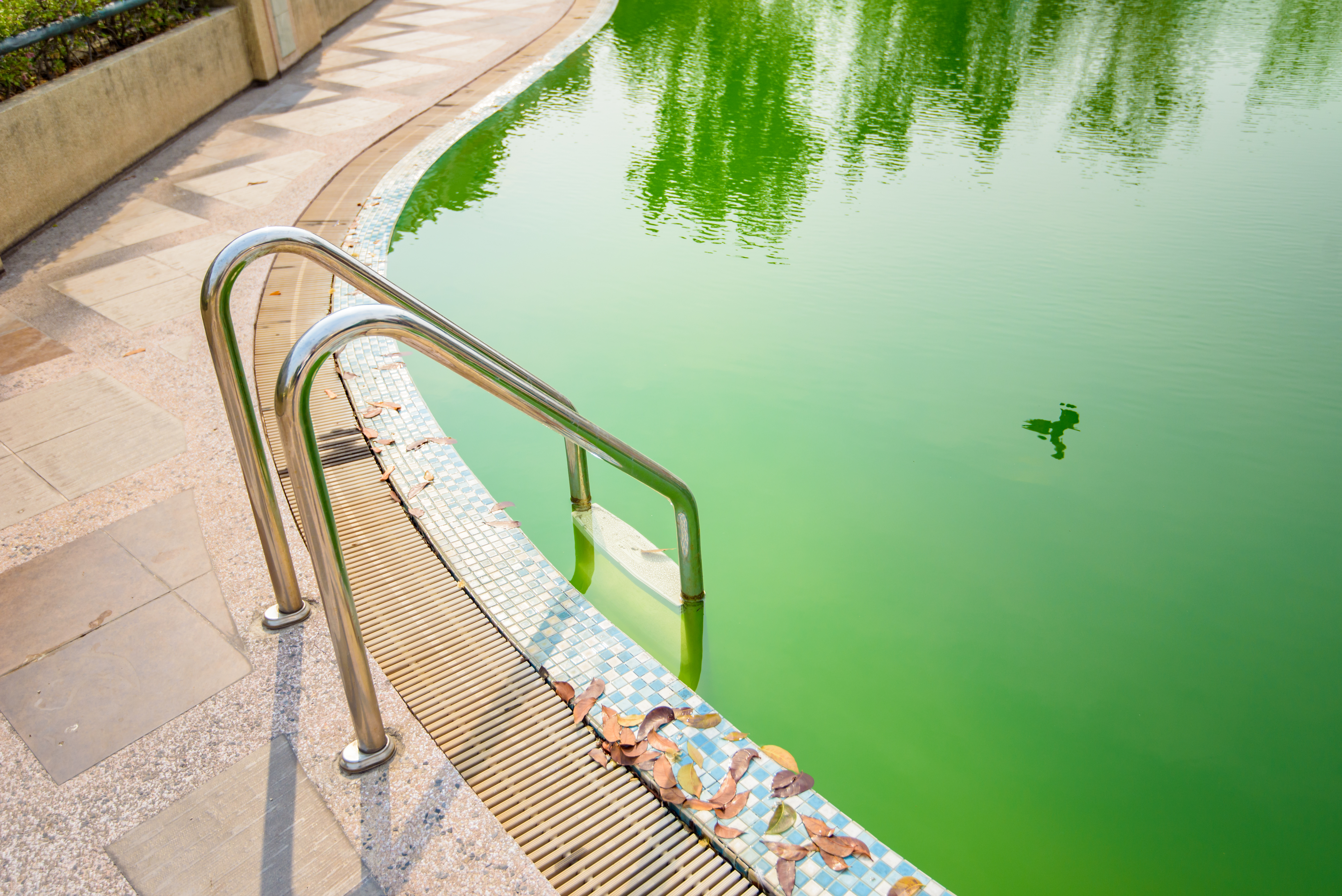 Comment Garder Une Eau De Piscine Propre Après Un Orage